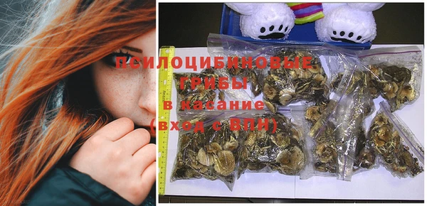 дурь Белоозёрский