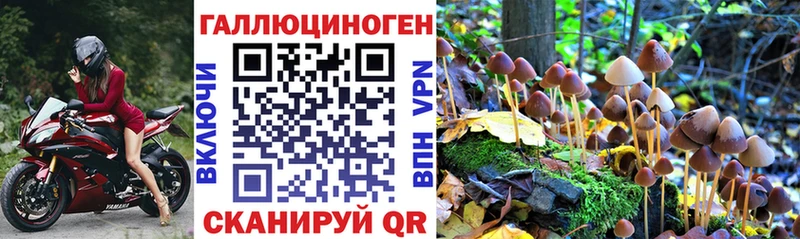 продажа наркотиков  дарк нет официальный сайт  мега ONION  Галлюциногенные грибы ЛСД  Хотьково 